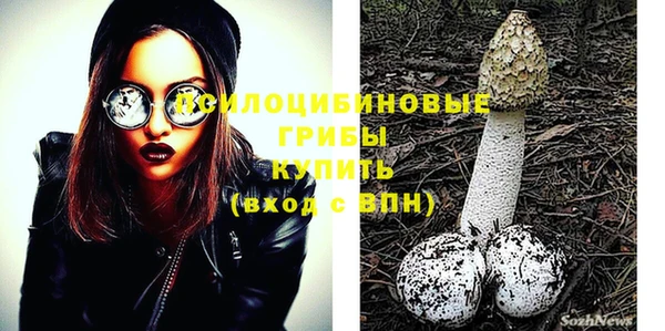 крисы Абдулино
