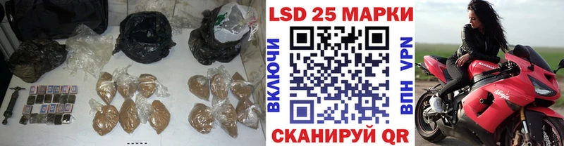 Лсд 25 экстази ecstasy  где можно купить наркотик  Шахунья 