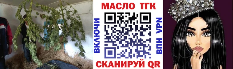omg сайт Шахунья ТГК гашишное масло