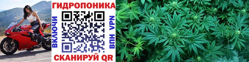 МАРИХУАНА SATIVA & INDICA магазин продажи наркотиков Шахунья